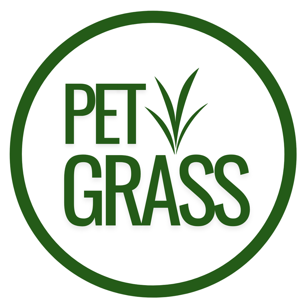 Fresh Pet Grass Pot - 2 Pots